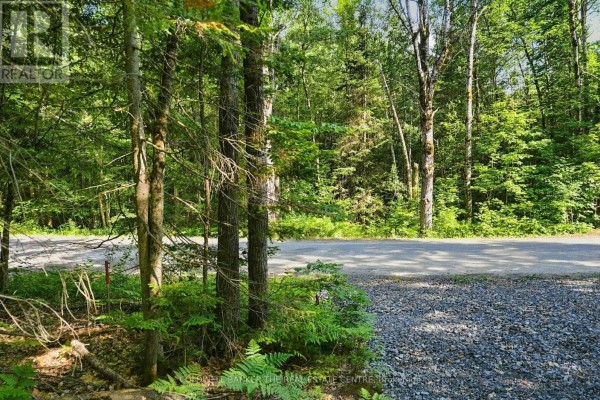 260 Loch Erne Road, Mcdougall, ON P2A2W7 Photo 2