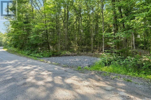 260 Loch Erne Road, Mcdougall, ON P2A2W7 Photo 3