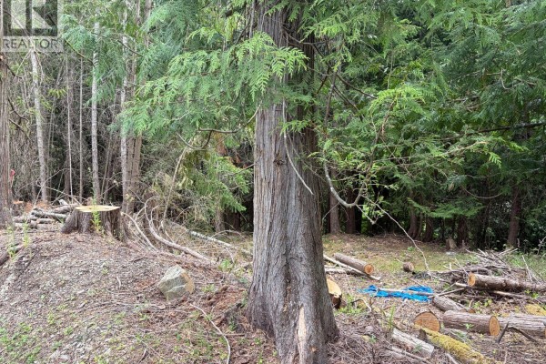 2602 Gunwhale Rd, Pender Island, BC V0N2M2 Photo 5