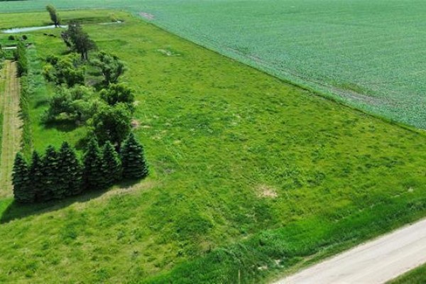 26112 31 (a) Road N, Dufferin, MB R0G0J0 Photo 4