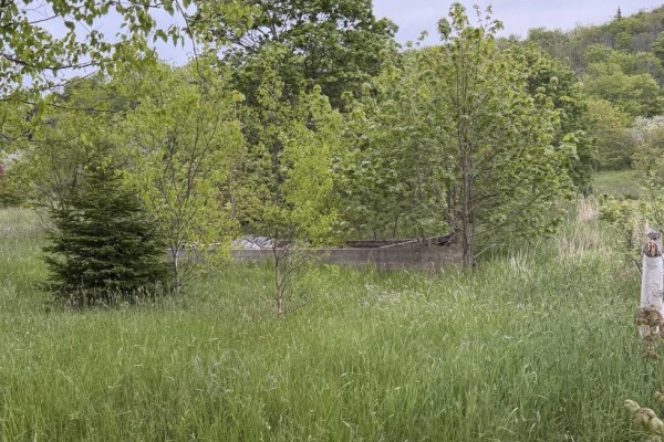 262 Trout Cove Road, Centreville, NS B0V1A0 Photo 5