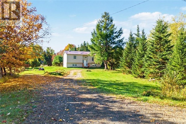 Gravel driveway leading to a beige house with a red metal roof surrounded by green trees and fall foliage. - 2631 Route 104, Middle Hainesville