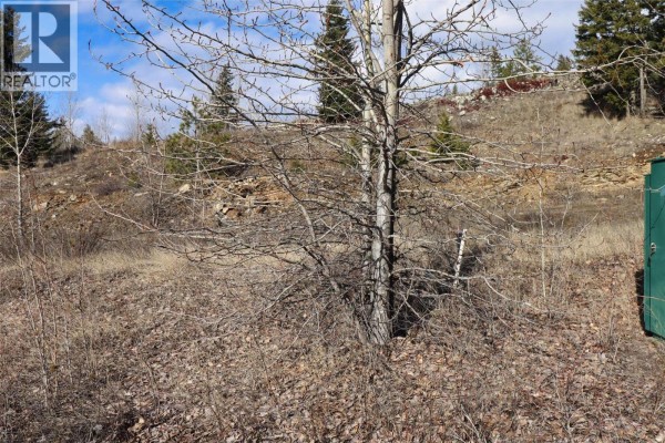 2633 Squilax Anglemont Road Unit# 151, Lee Creek, BC, photo 3