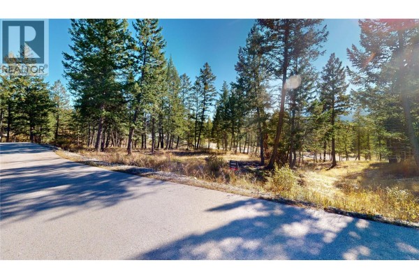 Road leading to a wooded lot with tall evergreen trees. - 2636 Brewer Ridge Rise, Invermere