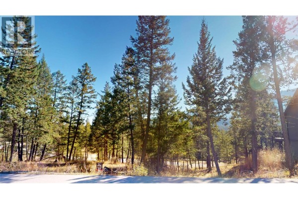 View of a wooded lot with tall evergreen trees. - 2636 Brewer Ridge Rise, Invermere