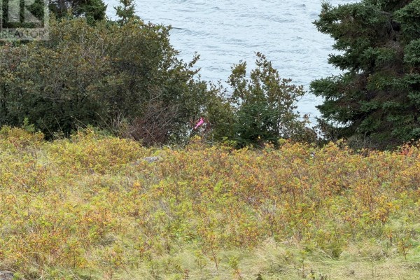 263a Corporal Jamie Murphy Memorial Drive, Conception Harbour, NL A0A2P0 Photo 2