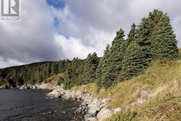 263a Corporal Jamie Murphy Memorial Drive, Conception Harbour, NL A0A2P0 Photo 4