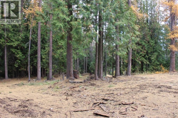 2640 3b Highway, Rossland, BC V0G1Y0 Photo 4