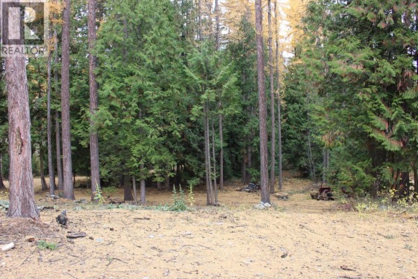 2640 3b Highway, Rossland, BC V0G1Y0 Photo 5