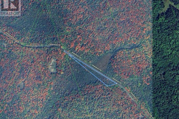 Aerial view of a rural property surrounded by dense forest with colorful autumn foliage. - 2505 Midlothian Road, Ryerson
