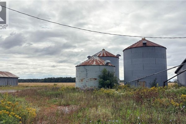 Two tall, grey grain silos with rusted tops stand in a grassy field. - 266 Haldimand Rd 9 Road, Hagersville