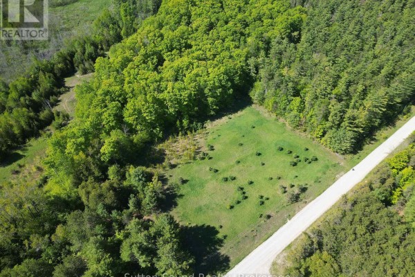 Aerial view looking down at a cleared grass area with scattered small trees, bordered by a dirt road and forest. - 266 Rankin Bridge Road, South Bruce Peninsula
