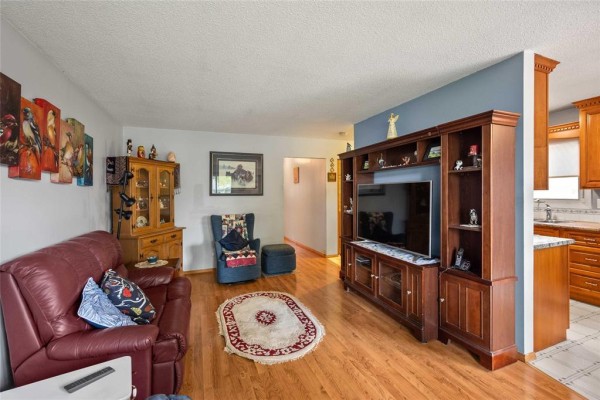 Recreation room - 266 St Martin Boulevard, Winnipeg, MB R2C3X8 Photo 5