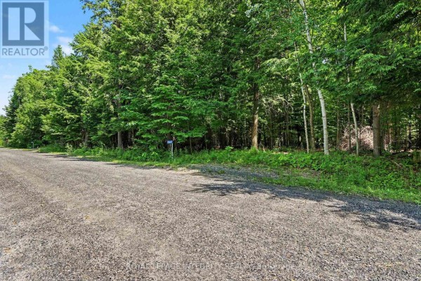 2667 Palmer Road, Tay Valley, ON, photo 2