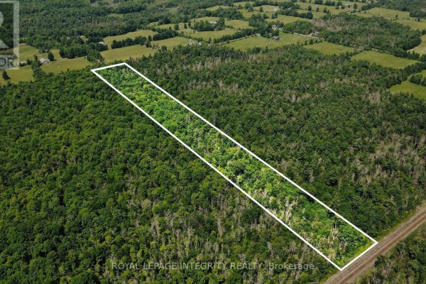 2667 Palmer Road, Tay Valley, ON, photo 3