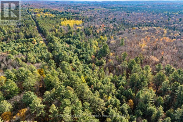 267 & 321 Cardwell Lake Road, Huntsville, ON P0B1M0 Photo 4