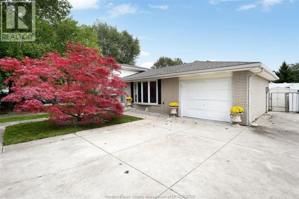 Bungalow-style house with a white garage door and brick exterior, driveway and red maple tree. - 268 Broadway Street, Belle River