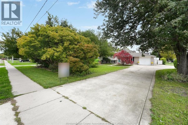 Long concrete driveway leading to a residential house with a green lawn and mature trees. - 268 Broadway Street, Belle River
