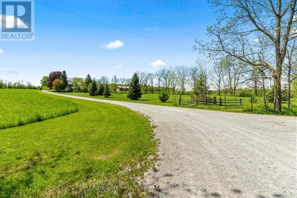 Laundry room - 268 Fox Ridge Road, Grey Highlands, ON N0H1J0 Photo 4