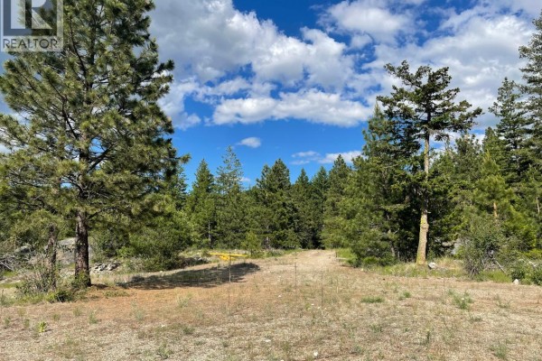 268 Grizzly Road, Osoyoos, BC, photo 2