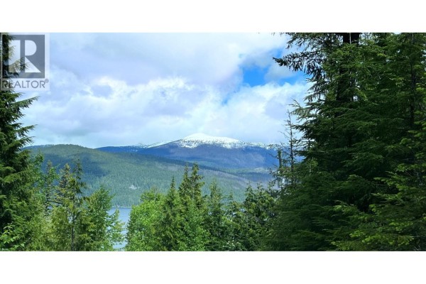 View of a snow-capped mountain beyond trees and a distant lake. - 2685 Mile 108 Road, Horsefly