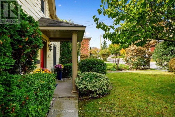 Living room - 27 Buck Street, Cobourg, ON K9A2L1 Photo 2