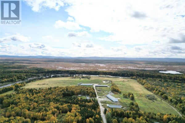 27 Farm Road, Black Duck Siding, NL A0N2G0 Photo 3