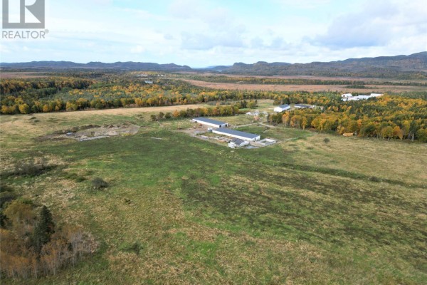 27 Farm Road, Black Duck Siding, NL A0N2G0 Photo 5