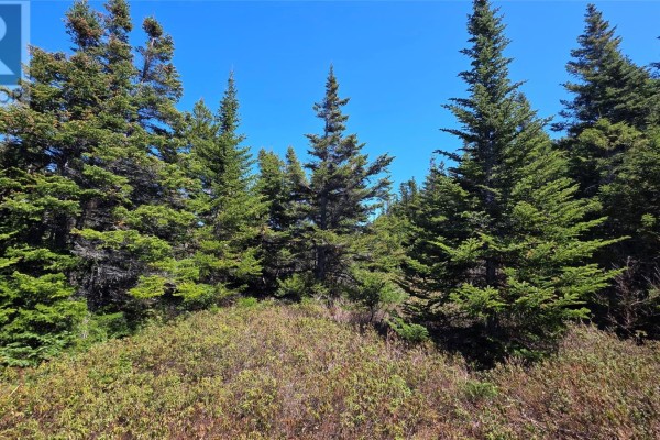 Bedroom - 27 Hugh Lane, Twillingate, NL A0G4M0 Photo 2