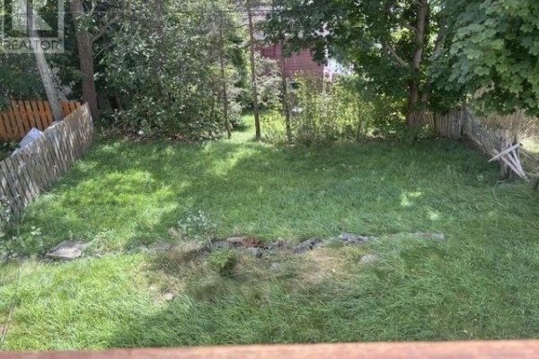 Overgrown backyard with a wooden fence and mature trees surrounding the grassy area. - 27 Mckay Street, St  John S