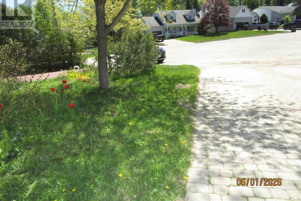 View of a paved driveway and front yard with red tulips and a mature tree. - 27 Plummer Ct, Sault Ste  Marie