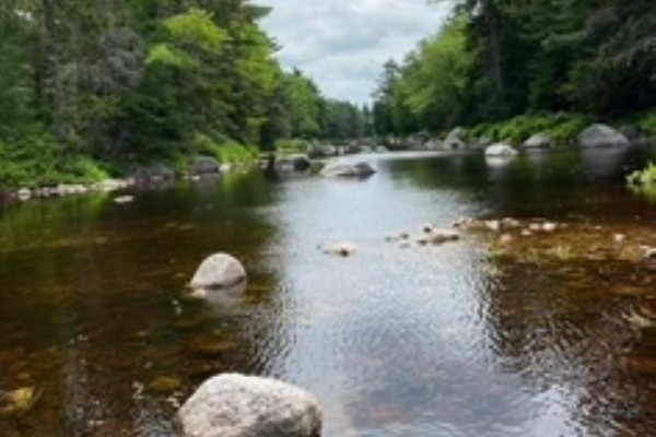27 Riverside Cove, Chester, NS B0J1K0 Photo 4