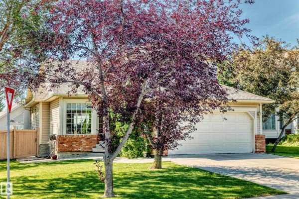 Family room - 271 Ormsby Rd E Nw, Edmonton, AB T5T5X6 Photo 4