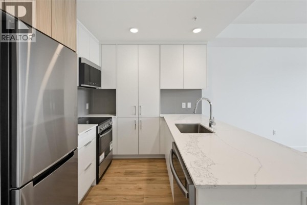 Kitchen - 271 Wylie Street Unit# 507, Penticton, BC V2A0L3 Photo 5