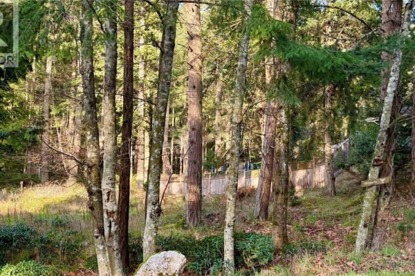 27100 Schooner Way, Pender Island, BC V0N2M2 Photo 4