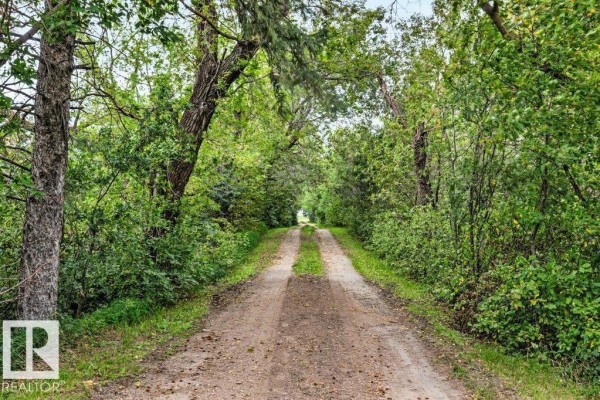 Primary Bedroom - 27110 Twp Rd 513, Rural Parkland County, AB T7Y1H1 Photo 4