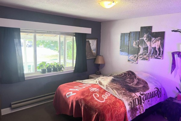 27165 29 Avenue, Langley, BC V4W3C4 Photo 4