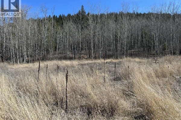 272 Blackstock Road, 100 Mile House, BC V0K2E1 Photo 2