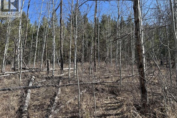 272 Blackstock Road, 100 Mile House, BC V0K2E1 Photo 3