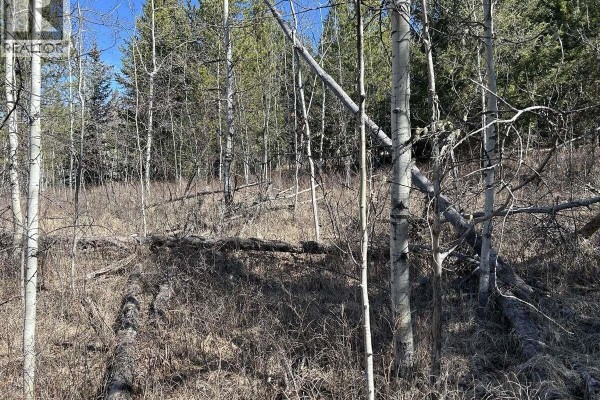 272 Blackstock Road, 100 Mile House, BC V0K2E1 Photo 4