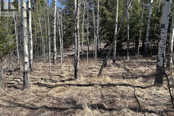 272 Blackstock Road, 100 Mile House, BC V0K2E1 Photo 5