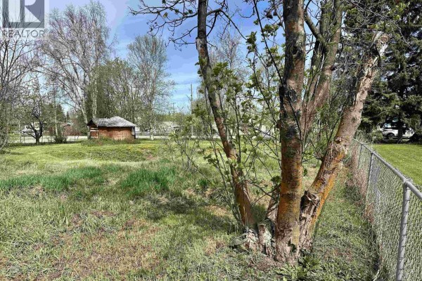272 W 3rd Street, Vanderhoof, BC V0J3A0 Photo 4