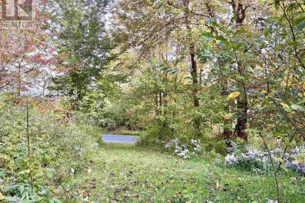 272 Welch Road, Forest Hill, NS B4P2R1 Photo 2