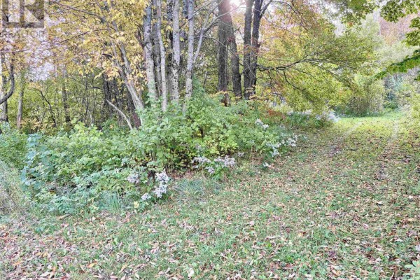 272 Welch Road, Forest Hill, NS B4P2R1 Photo 3