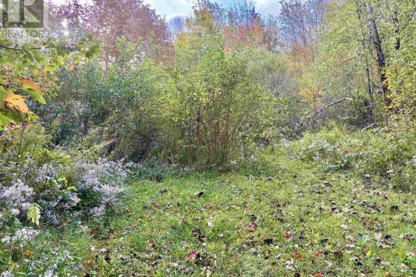 272 Welch Road, Forest Hill, NS B4P2R1 Photo 4