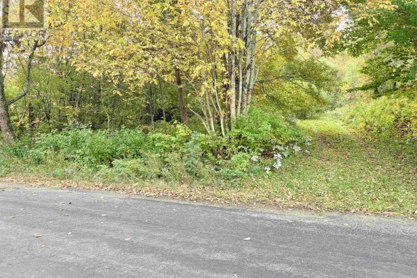 272 Welch Road, Forest Hill, NS B4P2R1 Photo 5