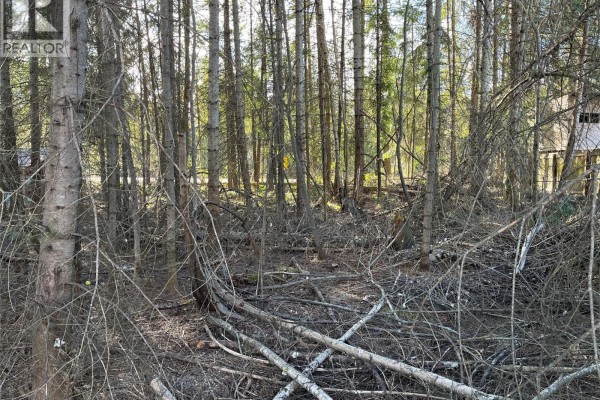 Wooded lot with scattered debris and dense tree coverage - 2723 Fir Drive, South Slocan