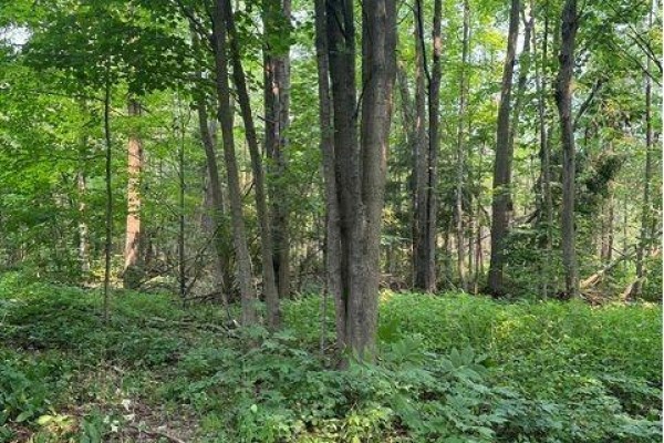 2728 25th Side Road, Innisfil, ON, photo 2