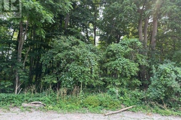 2728 25th Side Road, Innisfil, ON, photo 3