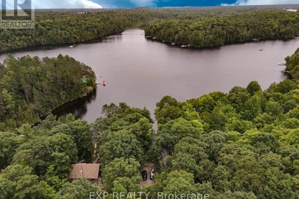 Aerial view of a secluded cottage surrounded by dense forest and overlooking a wide lake. - 273 Fire Route 330 Route, Trent Lakes